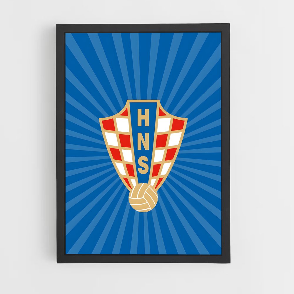 Poster Handball Fever (vue 2)